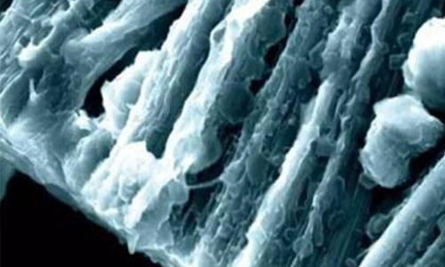 锂枝晶.jpg 锂枝晶.jpg